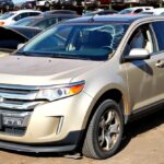 Ford EcoBoost buyers UK